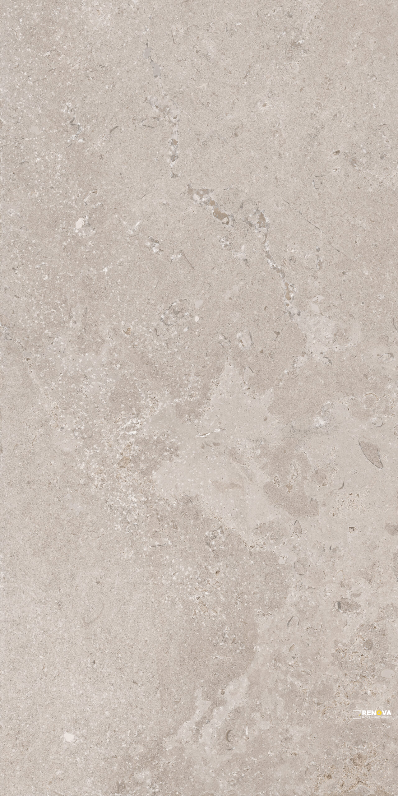 TIMELESS TAUPE NATURAL 12" X 24" - 3