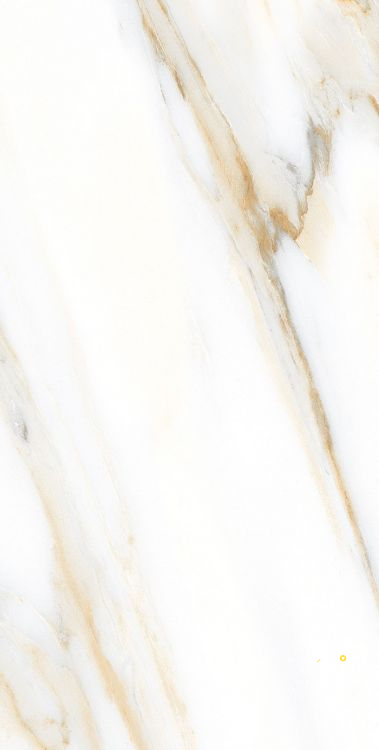 AGL CALACATTA GOLD MATTE 24" X 48" - ELYTIL2554 - 7