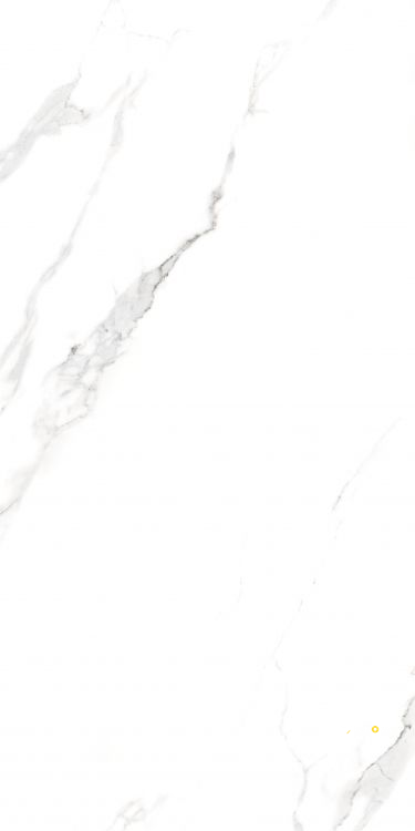 AGL STATUARIO MATTE 24" X 48" - ELYTIL2552 - 4
