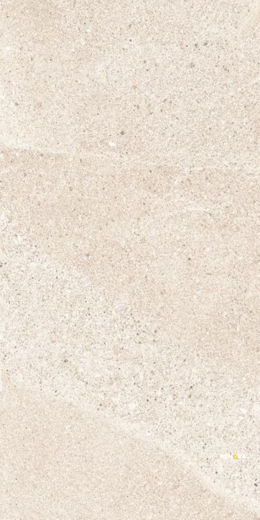 TUNE IVORY 12" X 24" - 5