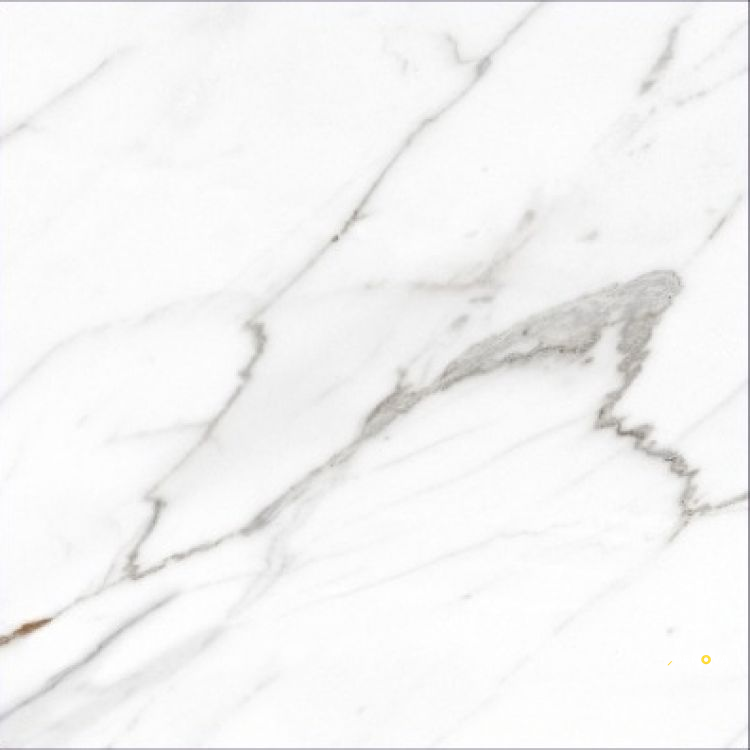 AGL CARRARA POLISHED 24" X 24" - ELYTIL2564