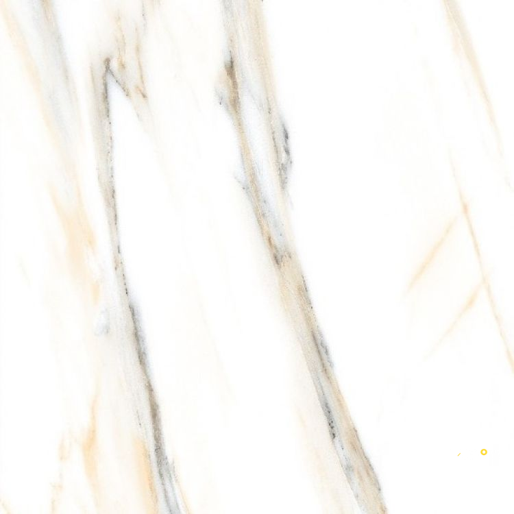 AGL CALACATTA GOLD POLISHED 24" X 24" - ELYTIL2563 - 5