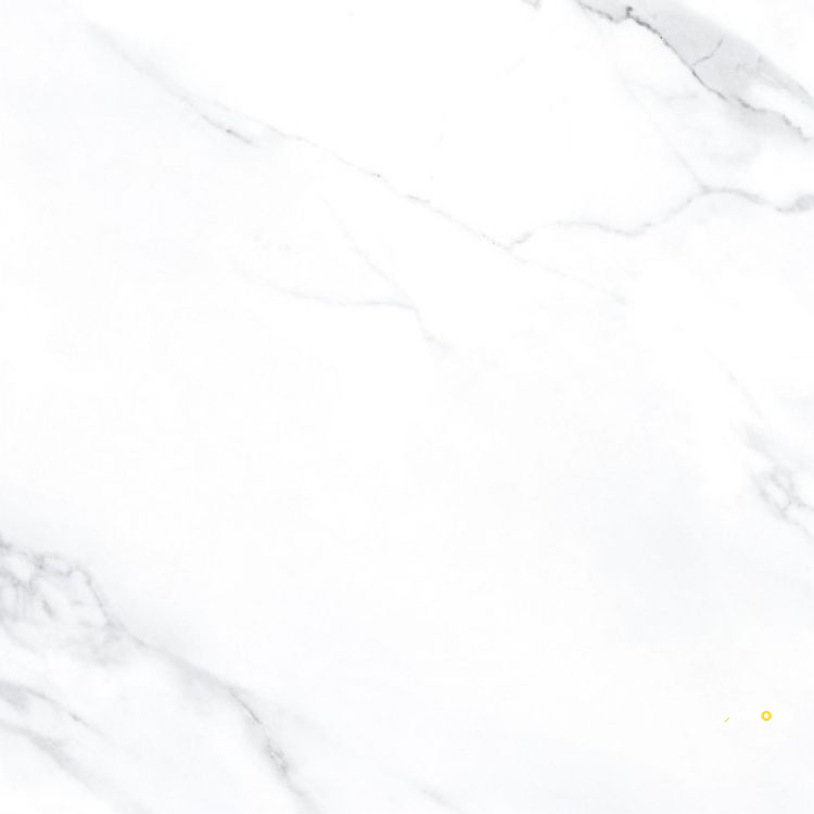 AGL STATUARIO POLISHED 24" X 24" - ELYTIL2565 - 6