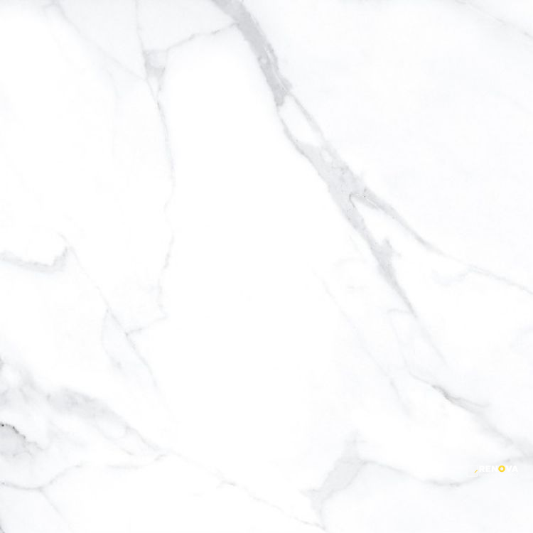 AGL STATUARIO MATTE 24" X 24" - ELYTIL2568 - 5