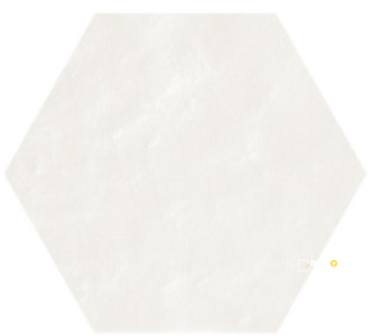 TINTE UNITE HEXAGON 8-1/2" - 4