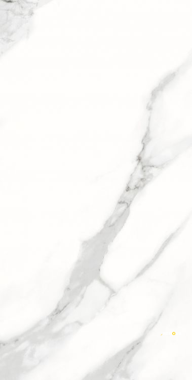 AGL STATUARIO MATTE 12" X 24" - 6