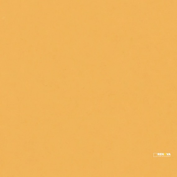 MUSTARD GLOSSY