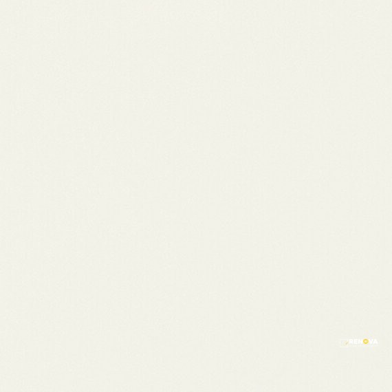 PURE POLISHED 24X24 - 1327624SQU2424PL - 2