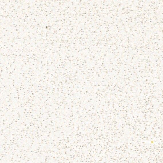 SONIC WHITE MATTE