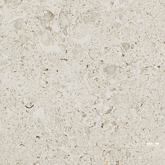 LUMINARY WHITE MATTE