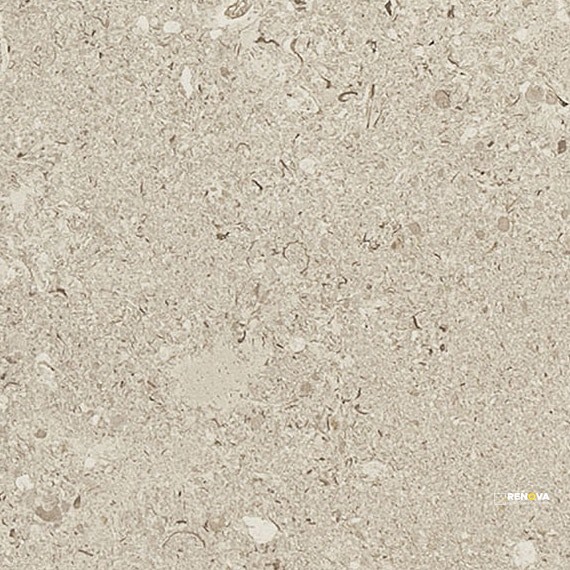 NOTABLE BEIGE MATTE