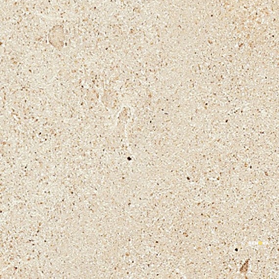 HAUT MONDE MATTE 24X24 - 7