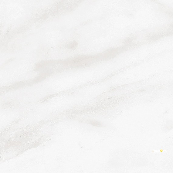 TIMELESS WHITE POLISHED