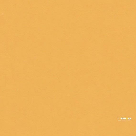 MUSTARD GLOSSY
