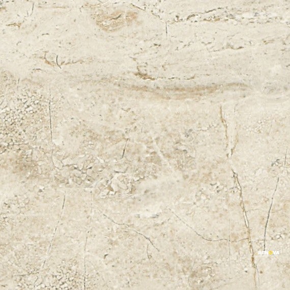 DANYA MATTE 12X24 - 2