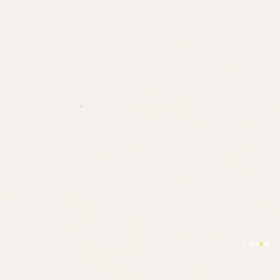 MATTE DESIGNER WHITE MATTE