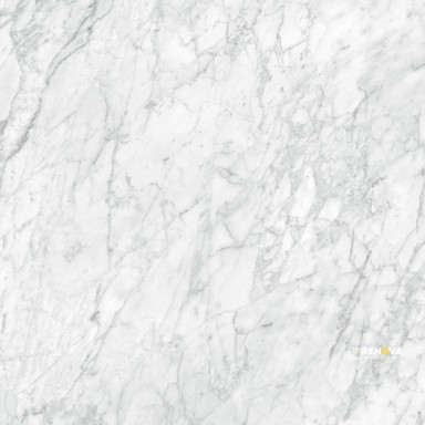 VIENNA POLISHED 12X24 - 4
