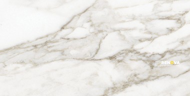 VIENNA POLISHED 12X24 - 5