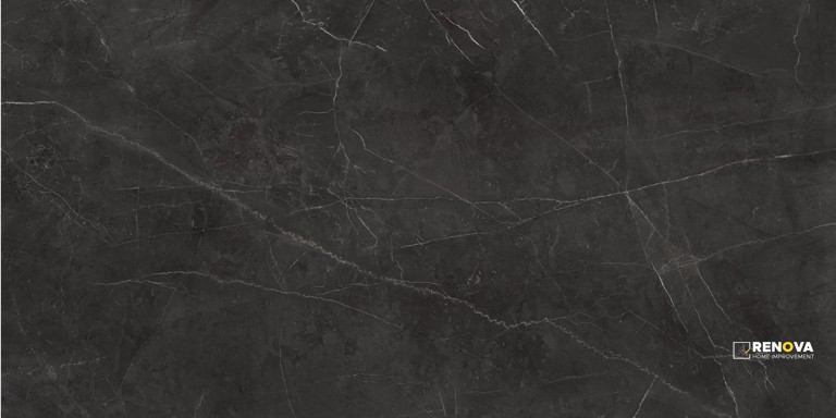 VIENNA POLISHED 12X24 - 6