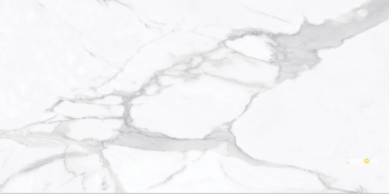 VIENNA POLISHED 12X24 - 9
