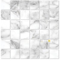 VIENNA POLISHED MOSAIC 2X2 - 4