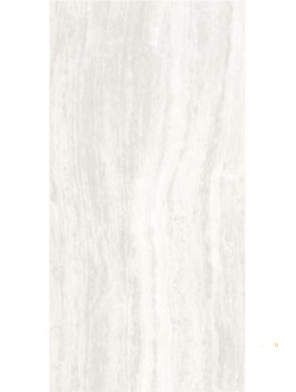 ZEN POLISHED 12X24 - 12