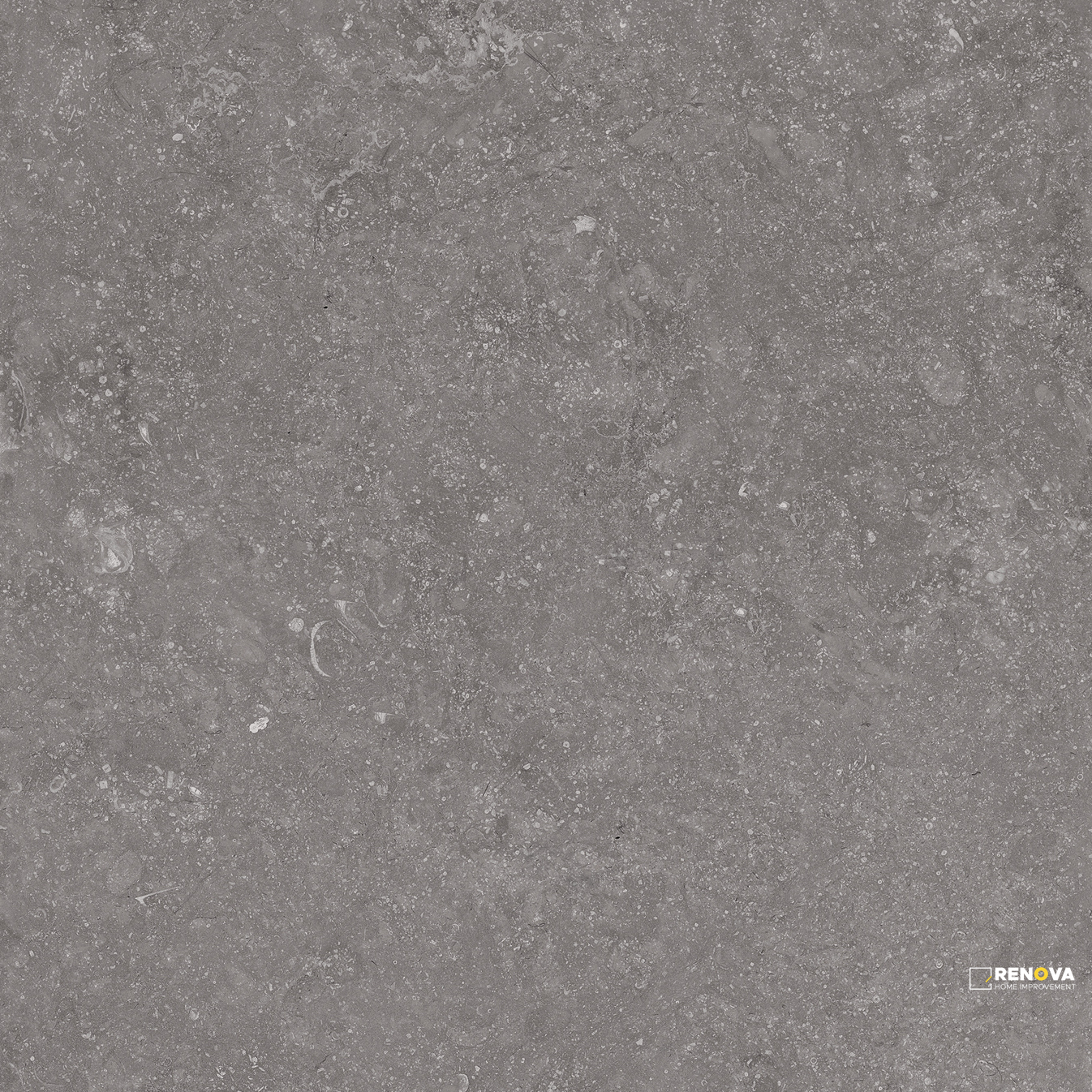 CROSSVILLE BELJN CANAL GRAY 24X24 FIELD UNPOLISHED - 4