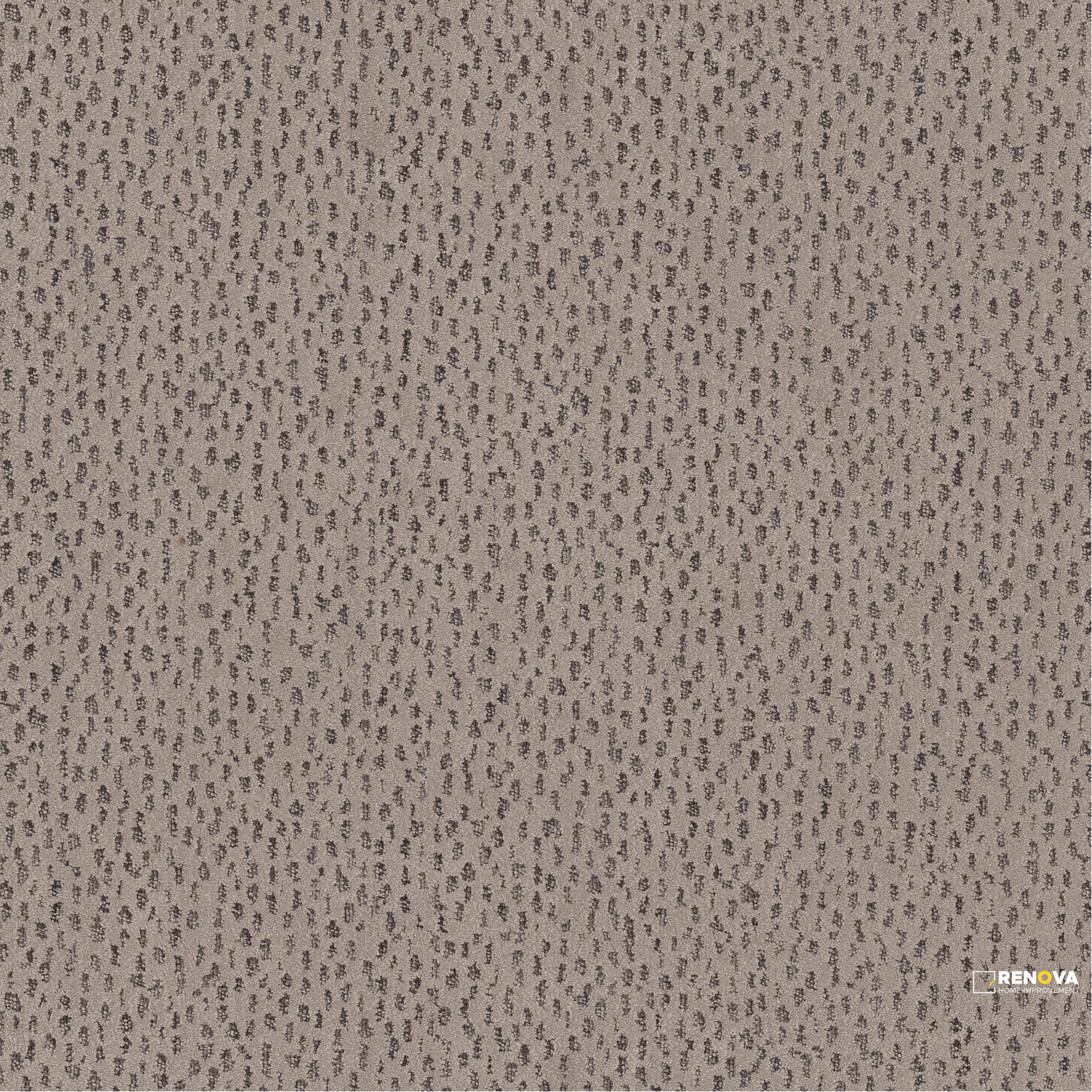 MOCHA