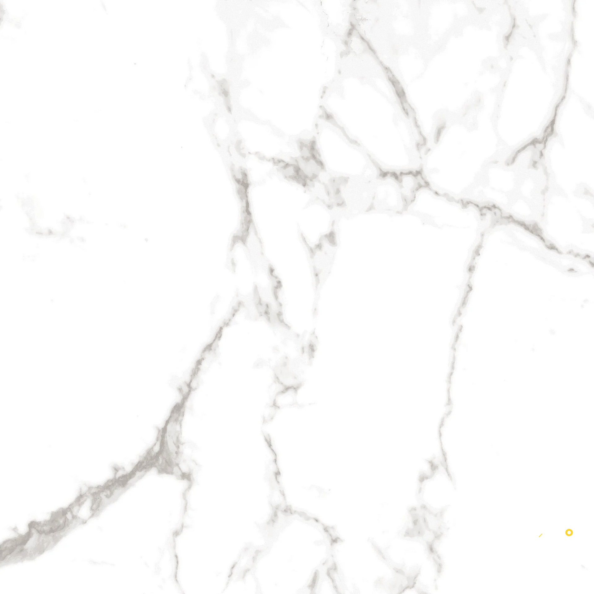 SERENDRA POLISHED 24X24 - 4