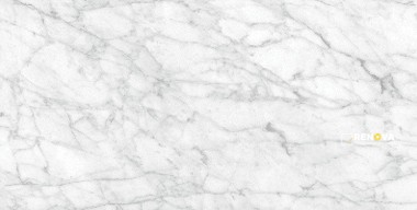 VIENNA HONED 24X48 - 7