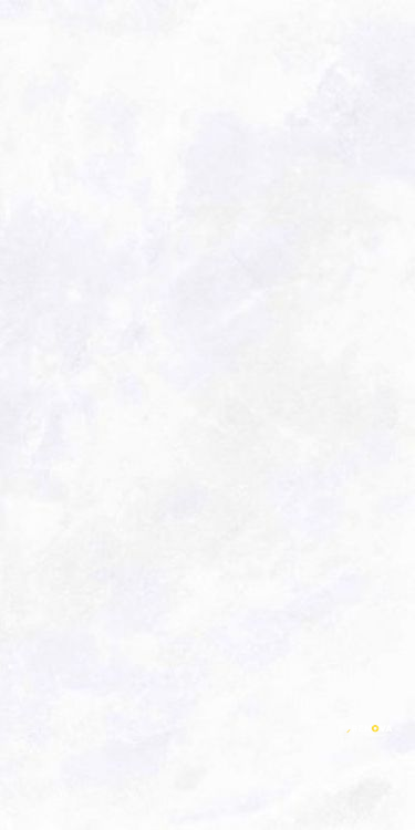 ARCHISALT FLOWER OF SALT CROSS 12" X 24" - 6