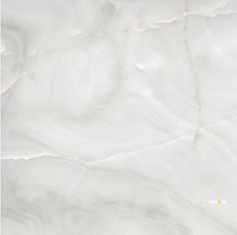 VIENNA POLISHED 24X24 - 10