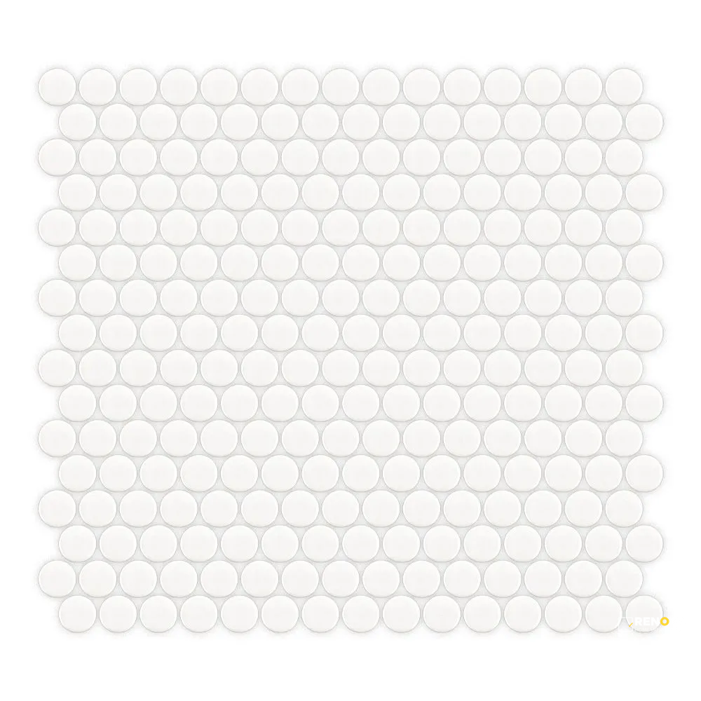 WHITE GLOSS-82025