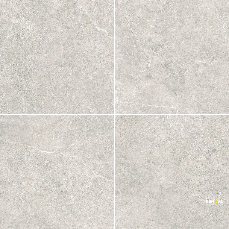 FUTURA SILVER ANTI-SLIP PORCELAIN PAVERS 2CM 24" X 24" - 4