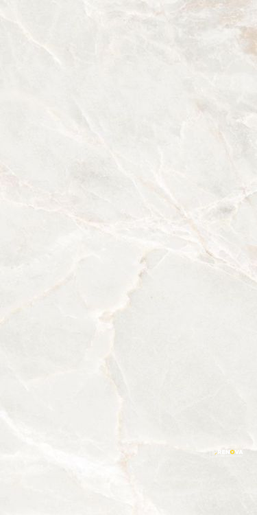 BRASILIA WHITE MATTE 12" X 24" - 6