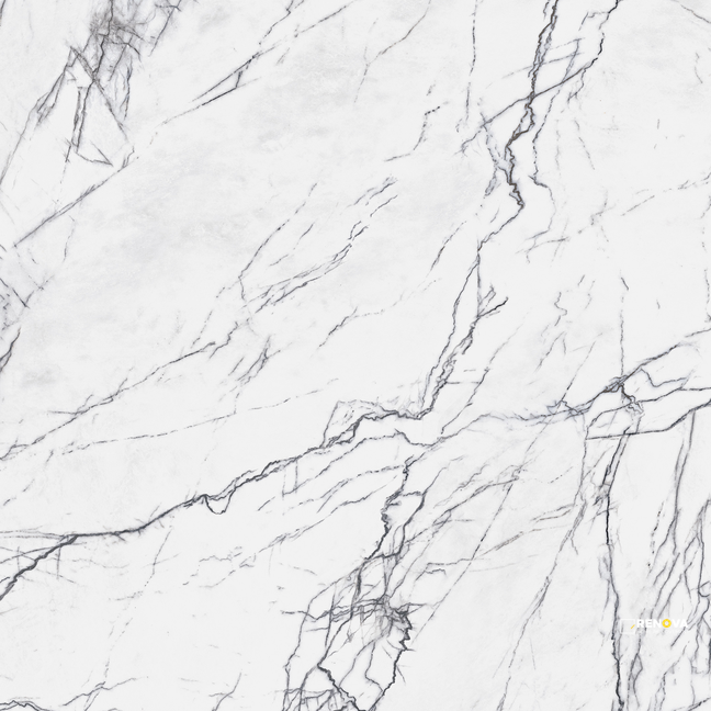 INDULGE POLISHED 24" X 48" - 12