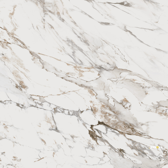 INDULGE POLISHED 24" X 48" - 13