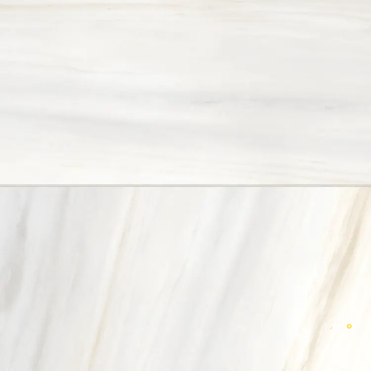 MAGNIFICA ERA BIANCO LASA POLISHED 24" X 48" - 2