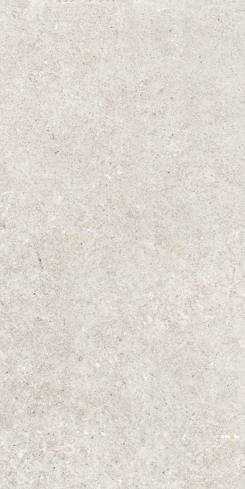 PERENNE SLIM MATTE 24X47 6MM - 8