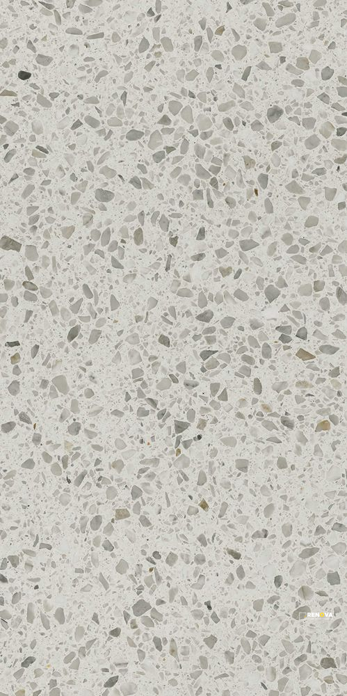 VENEZIANE CASTELLO LUCIDO 24" X 48" - 6