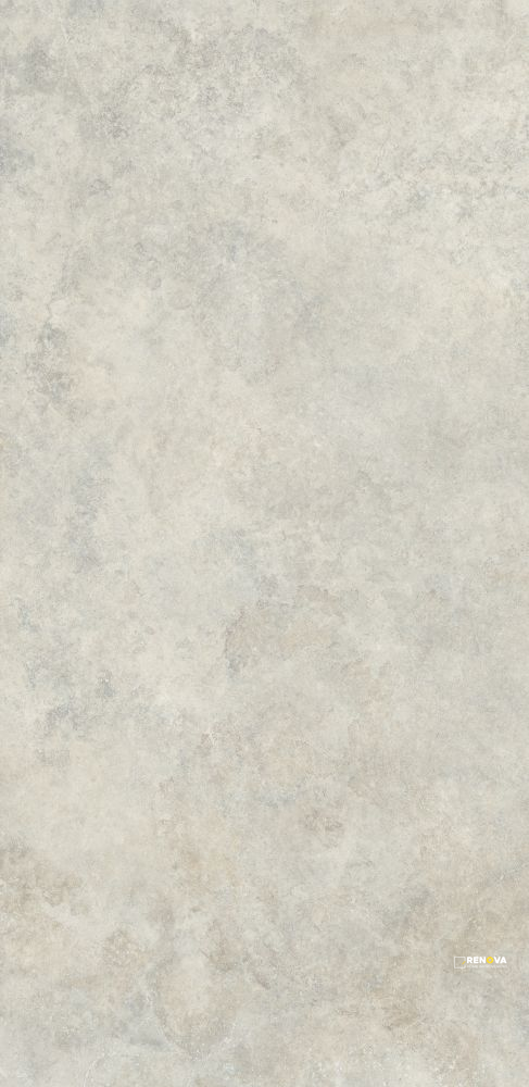 ARBIA GREY MATTE 24" X 48" - 2