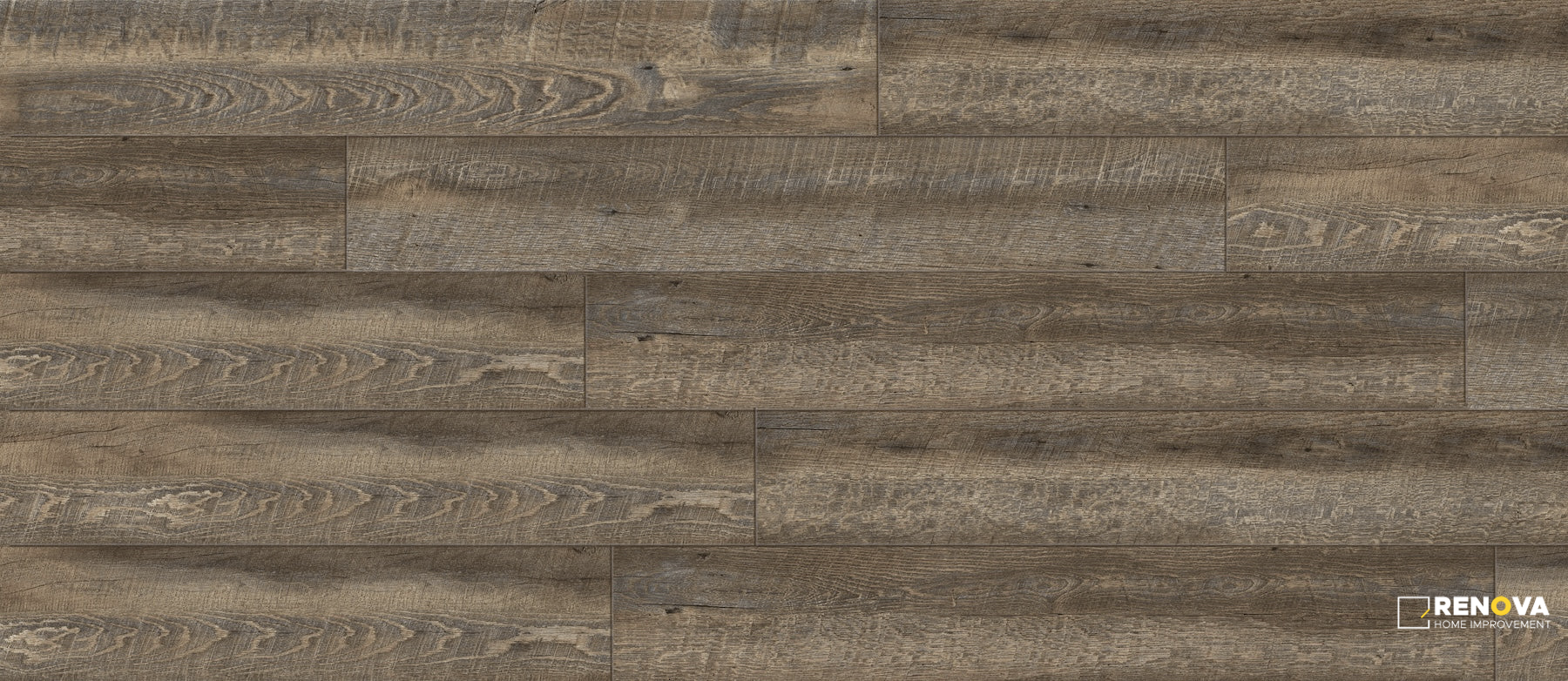AMERICAN ELM