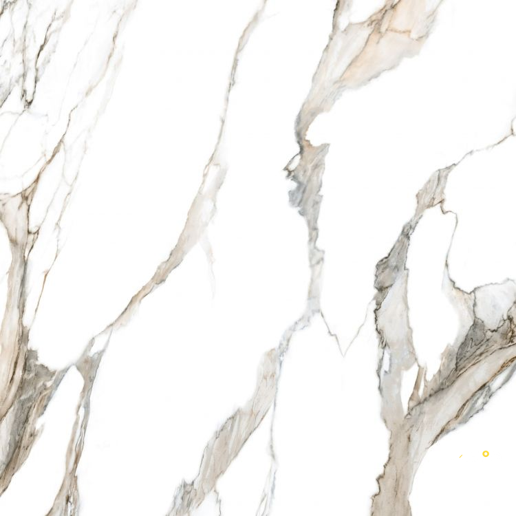 CALACATTA FANTASY TOPO POLISHED 48" X 48" - 7