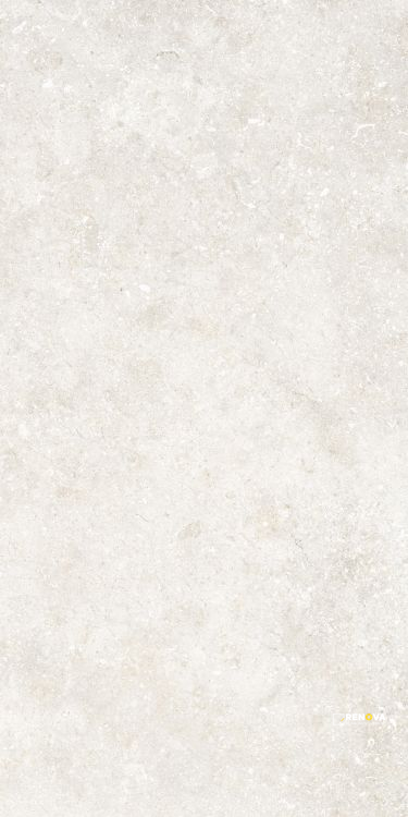 UNTAMED WANDER WHITE 12" X 24" - 5