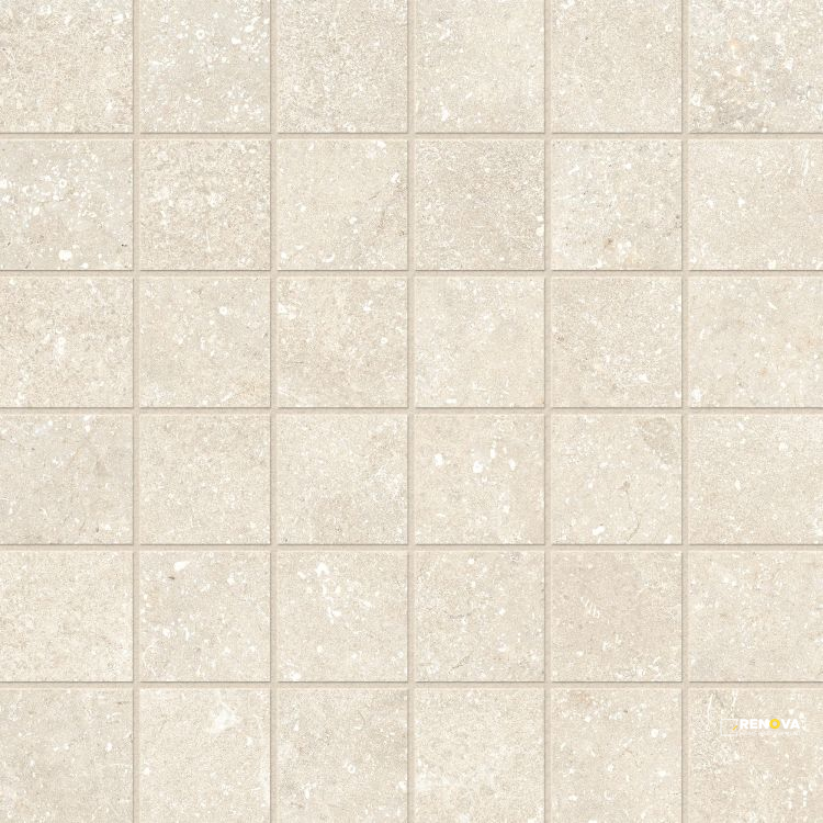 UNTAMED WANDER WARM MOSAIC 2" X 2" - 4