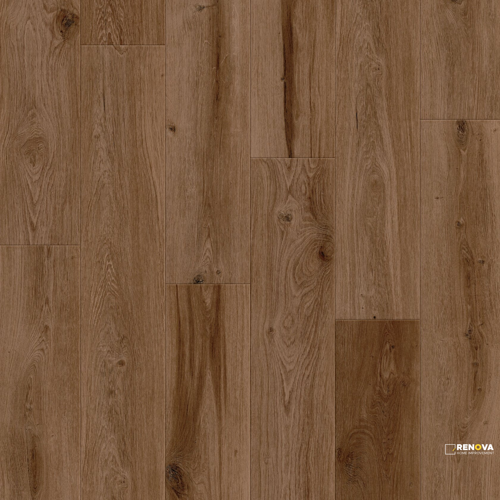 CINNAMON BARK OAK
