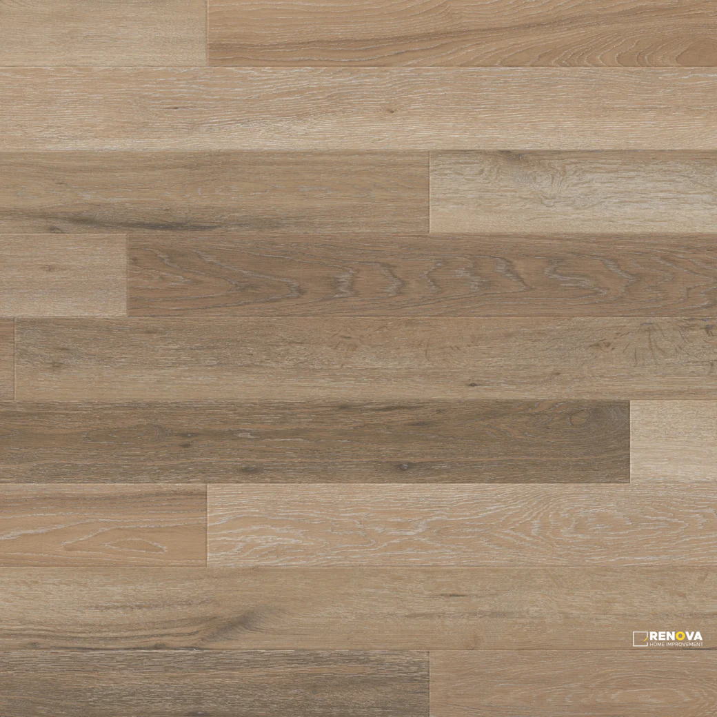 CANTERBURY ASH