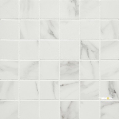 TRU MARMI MATTE MOSAIC 2" X 2" - 2