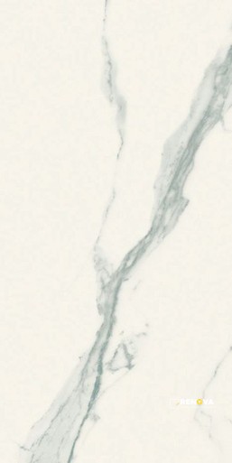 CLASSICI STATUARIO GLOSSY 24" X 48" - ELYTIL1321