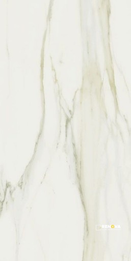 CLASSICI CALACATTA GOLD MATTE 24" X 48" - ELYTIL1464
